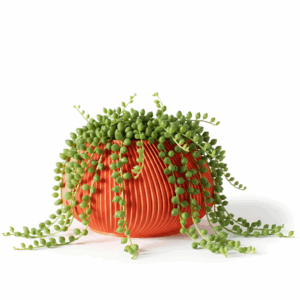 The Davi Planter Pot with Drainage Tray and Stand