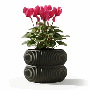 The Miko Planter Pot with Drainage Tray & Stand: Modern and Unique Home Decor for Plants and Succulents