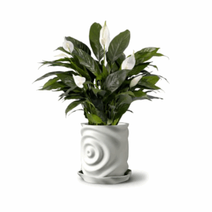 Waterdrop Planter Pot