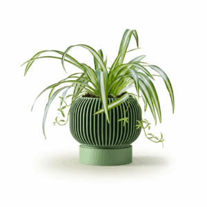 Yuso Planter Pot