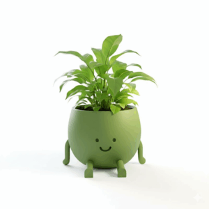 Light Green Smiling Planter